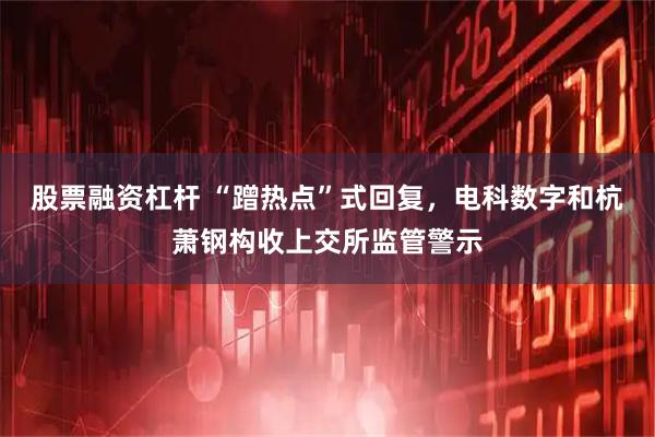 股票融资杠杆 “蹭热点”式回复，电科数字和杭萧钢构收上交所监管警示