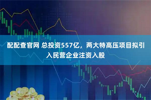 配配查官网 总投资557亿，两大特高压项目拟引入民营企业注资入股